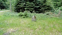 Ritterstein Nr. 074-3b Freswasen